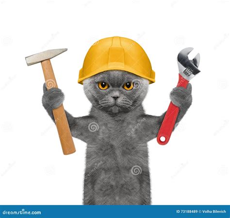 Cat with tool. Things To Know About Cat with tool. 